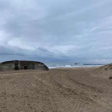 Stor Ved Stranden I Cold Hawaii * Agger